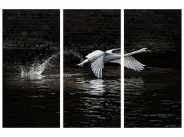 3-piece-canvas-print-flying-swan