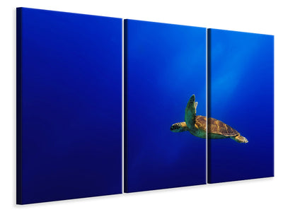 3-piece-canvas-print-flying