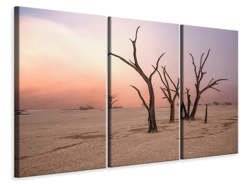 3-piece-canvas-print-fog-in-deadvlei