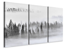 3-piece-canvas-print-foggy-forest