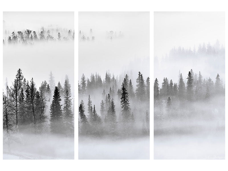 3-piece-canvas-print-foggy-forest