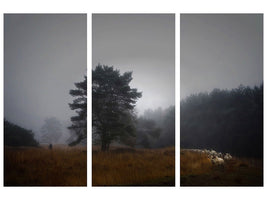 3-piece-canvas-print-foggy-memory-of-the-past