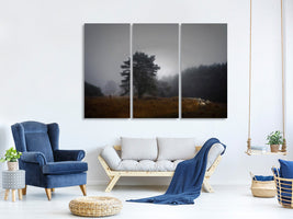 3-piece-canvas-print-foggy-memory-of-the-past