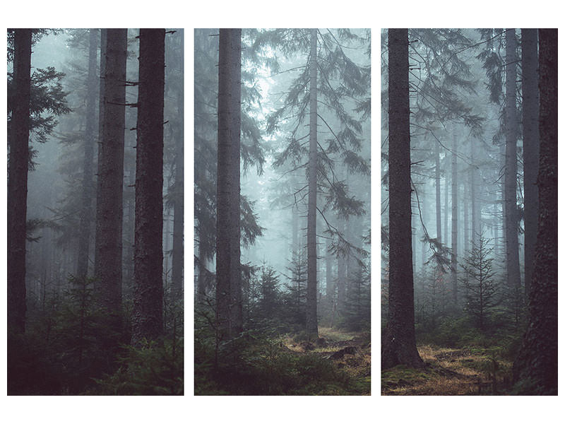 3-piece-canvas-print-forest-in-the-fog