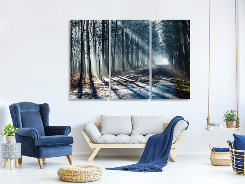 3-piece-canvas-print-forest-in-the-light-beam