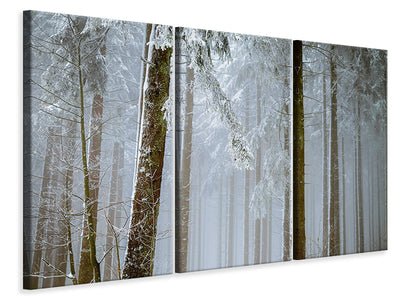 3-piece-canvas-print-forest-in-winter