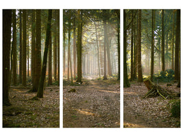 3-piece-canvas-print-forest-run