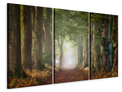 3-piece-canvas-print-forward