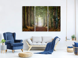 3-piece-canvas-print-forward