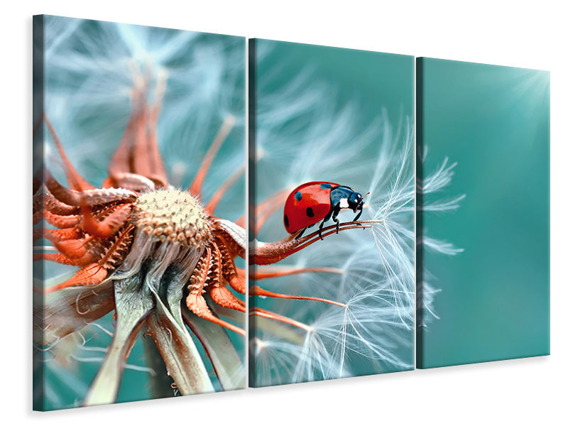 3-piece-canvas-print-freedoom