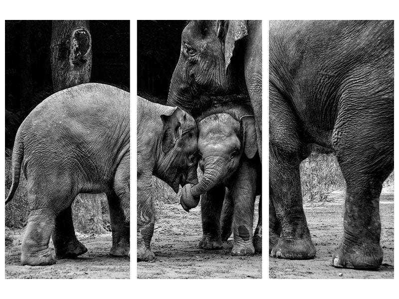 3-piece-canvas-print-friends-forever