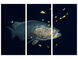 3-piece-canvas-print-giant-grouper