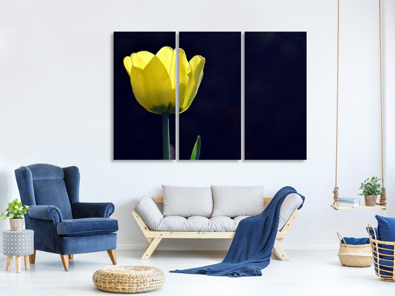 3-piece-canvas-print-glowing-tulip