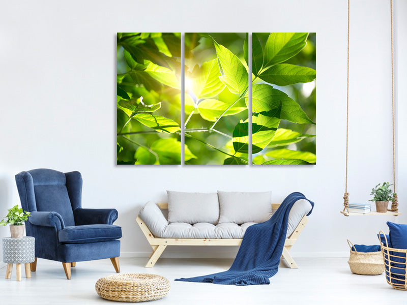 3-piece-canvas-print-go-green