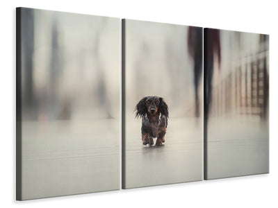 3-piece-canvas-print-going-home