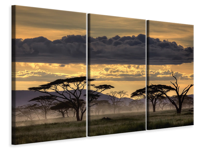 3-piece-canvas-print-good-evening-tanazania