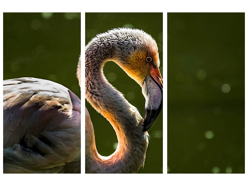 3-piece-canvas-print-gorgeous-bird