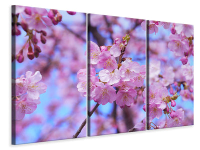 3-piece-canvas-print-gorgeous-cherry-blossom