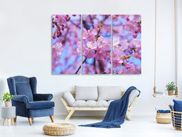 3-piece-canvas-print-gorgeous-cherry-blossom