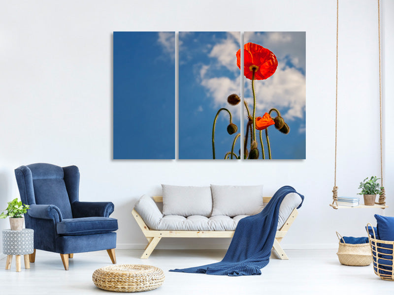 3-piece-canvas-print-gorgeous-poppy