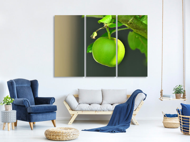 3-piece-canvas-print-green-apple