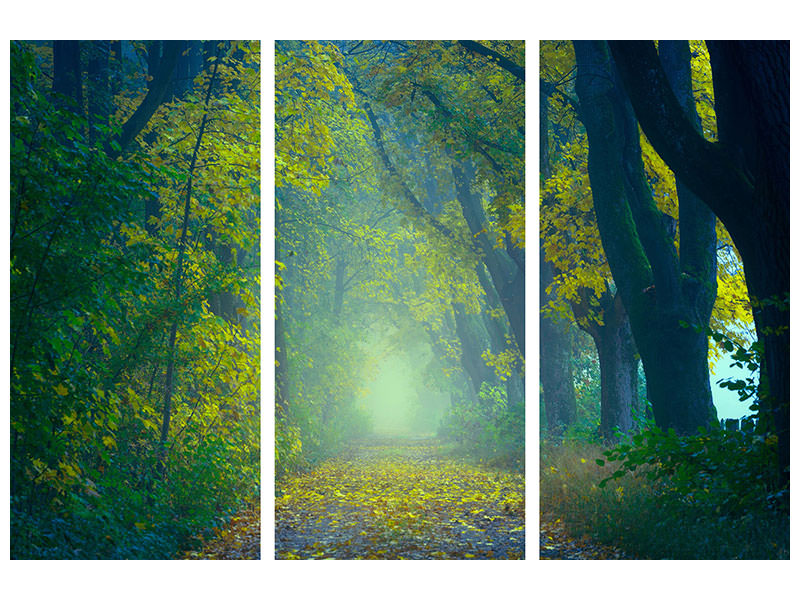 3-piece-canvas-print-green-forest