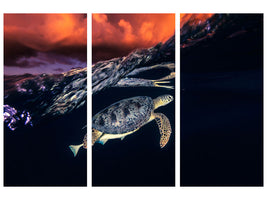 3-piece-canvas-print-green-turtle-and-sunset-sea-turtle