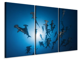 3-piece-canvas-print-hammerhead-shark-underwater-photography