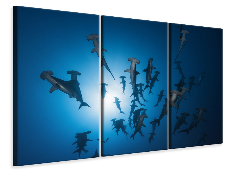 3-piece-canvas-print-hammerhead-shark-underwater-photography