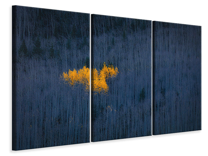 3-piece-canvas-print-heart-of-aspens