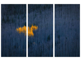 3-piece-canvas-print-heart-of-aspens