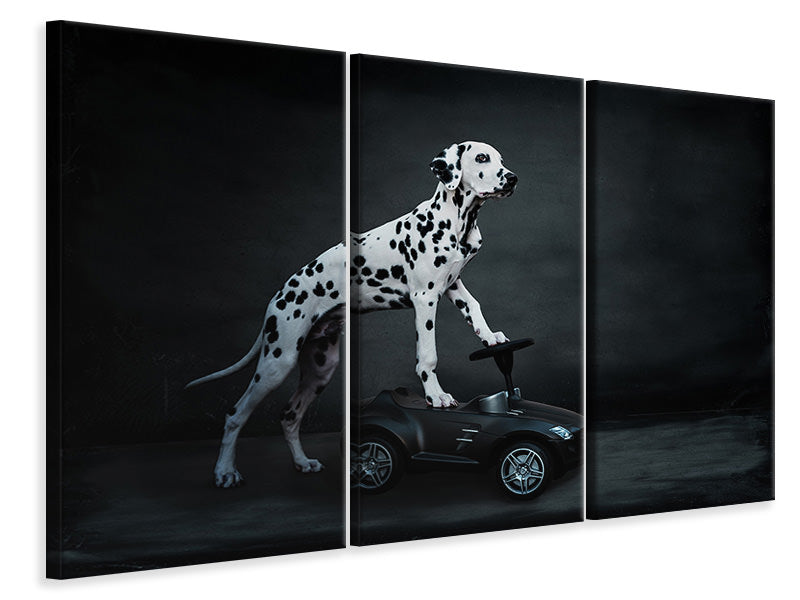 3-piece-canvas-print-his-bobby-car