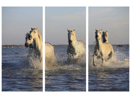 3-piece-canvas-print-horses-in-the-sea