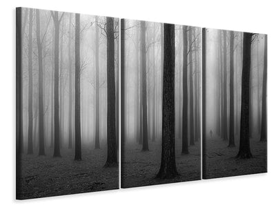 3-piece-canvas-print-in-a-fog