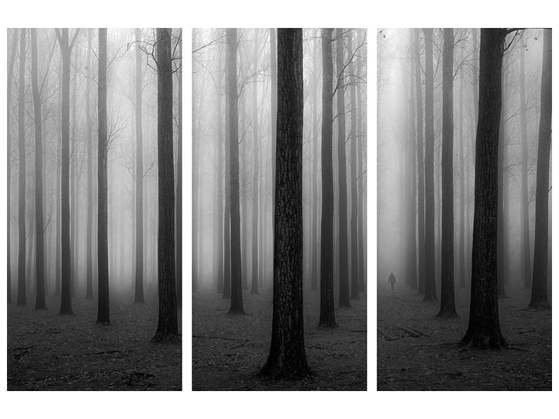 3-piece-canvas-print-in-a-fog