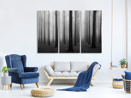 3-piece-canvas-print-in-a-fog