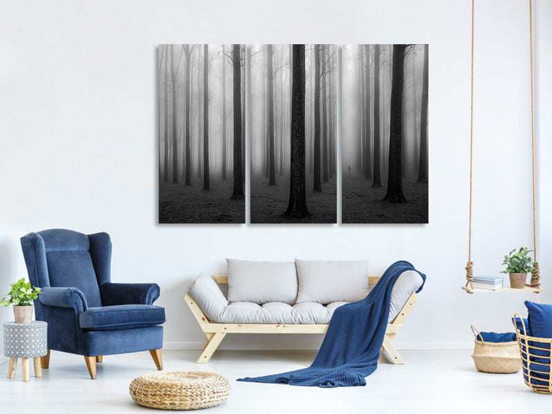 3-piece-canvas-print-in-a-fog