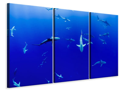 3-piece-canvas-print-in-the-shark-tank
