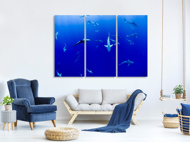 3-piece-canvas-print-in-the-shark-tank