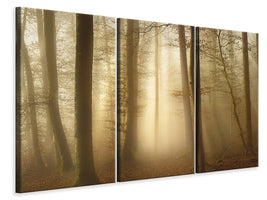 3-piece-canvas-print-into-the-trees