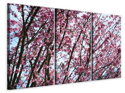 3-piece-canvas-print-japanese-cherry-blossom