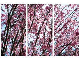 3-piece-canvas-print-japanese-cherry-blossom