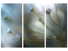 3-piece-canvas-print-jasmine