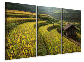 3-piece-canvas-print-keep-walking