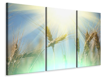 3-piece-canvas-print-king-of-cereals