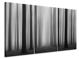 3-piece-canvas-print-labyrinth