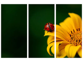 3-piece-canvas-print-ladybug-on-the-sunflower