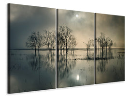 3-piece-canvas-print-lakes-secret