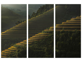 3-piece-canvas-print-landing-fields-at-sunrise-beautiful-golden-light-shines