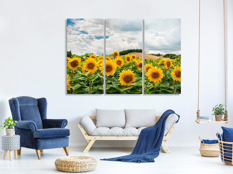 3-piece-canvas-print-landscape-with-sunflowers